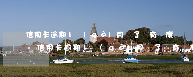 信用卡逾期1個(gè)月還了還有額度嗎-信用卡逾期1個(gè)月還了還有額度嗎怎么辦