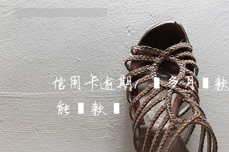 信用卡逾期1個多月還款(信用卡逾期1年還能貸款嗎)