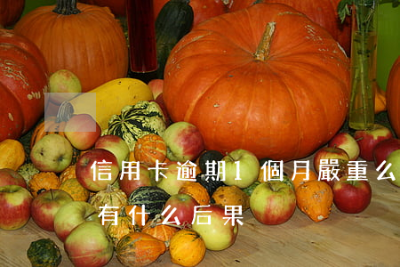 信用卡逾期1個月嚴重么(信用卡逾期一個月有什么后果)