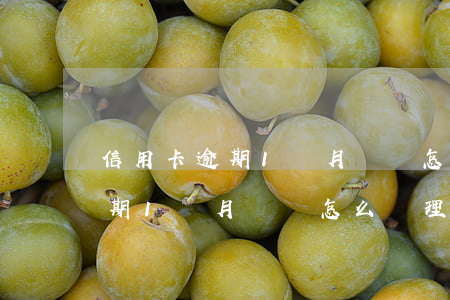 信用卡逾期1個月沒錢怎么處理-信用卡逾期1個月沒錢怎么處理呢