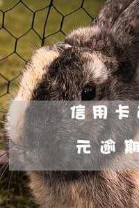 信用卡逾期1元可以申訴嗎(信用卡1000元逾期三個月)