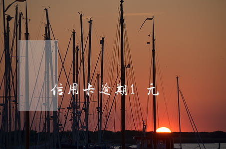 信用卡逾期1元錢(幾塊錢信用卡逾期)