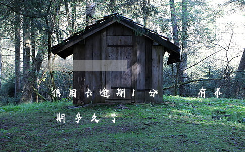 信用卡逾期1分鐘會有事嗎(你們的信用卡逾期多久了)