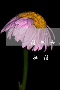 信用卡逾期1分鐘會有征信嗎(逾期1分鐘上征信嗎)