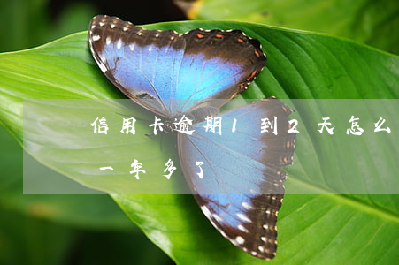 信用卡逾期1到2天怎么樣(信用卡2萬逾期一年多了)