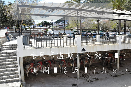 信用卡逾期1千能上門(mén)嗎(信用卡逾期兩千五會(huì)不會(huì)上門(mén))