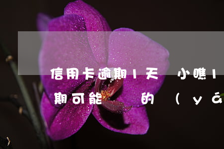 信用卡逾期1天，別小瞧1天的差距，信用卡逾期可能帶來的嚴(yán)重后果！
