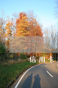 信用卡逾期1天利息高嗎
