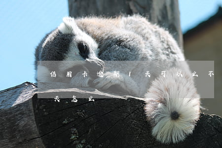 信用卡逾期1天可以么(不小心信用卡逾期一天怎么辦)