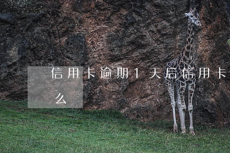 信用卡逾期1天后(信用卡逾期1天后利息怎么說)