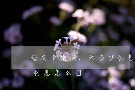 信用卡逾期1天多少利息(信用卡逾期1天后利息怎么說)