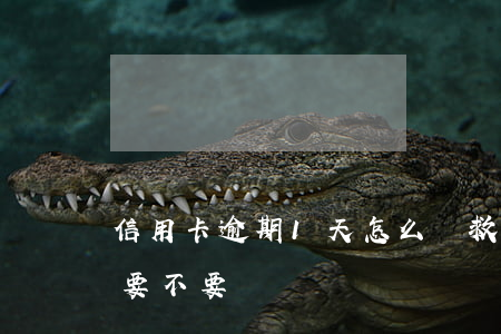 信用卡逾期1天怎么補救(信用卡逾期了一天要不要緊)