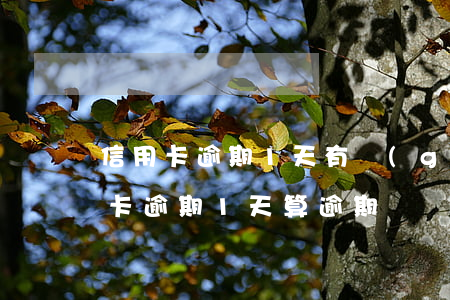 信用卡逾期1天有關(guān)系么(信用卡逾期1天算逾期嗎)