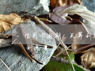 信用卡逾期1天算利息嗎(信用卡逾期1天算利息嗎)