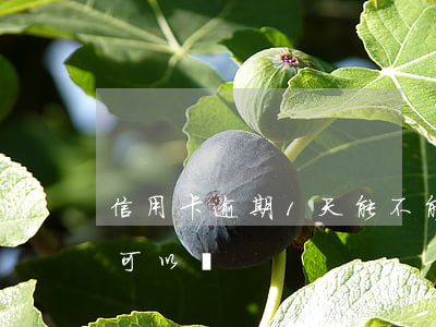 信用卡逾期1天能不能用(我信用卡逾期一天可以嗎)