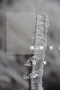 信用卡逾期1天被凍結怎么解凍 逾期一天銀行卡凍結了怎么辦
