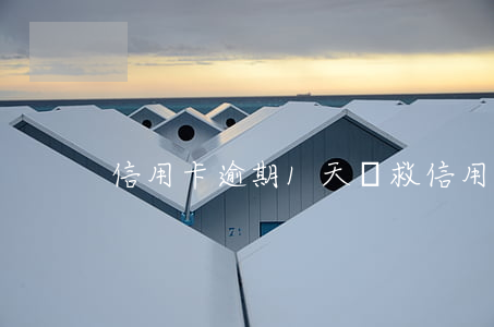 信用卡逾期1天補救 信用卡 逾期一天 征信
