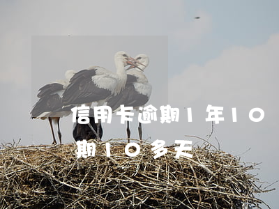 信用卡逾期1年10塊(信用卡100多元逾期10多天)