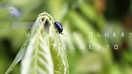 信用卡逾期1年1萬元利息多少-信用卡逾期1年1萬元利息多少錢