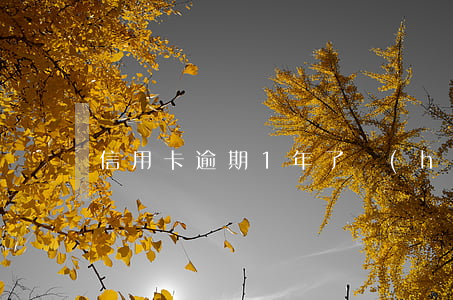 信用卡逾期1年了會(huì)怎樣