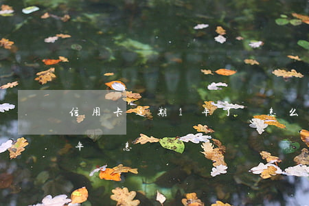 信用卡逾期1年了會怎么樣(欠信用卡逾期一年會怎樣)