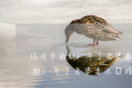 信用卡逾期1年了老婆要求離婚-信用卡逾期1年了老婆要求離婚怎么辦