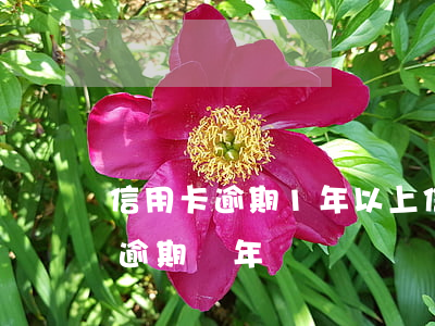 信用卡逾期1年以上(信用卡1萬(wàn)逾期兩年)