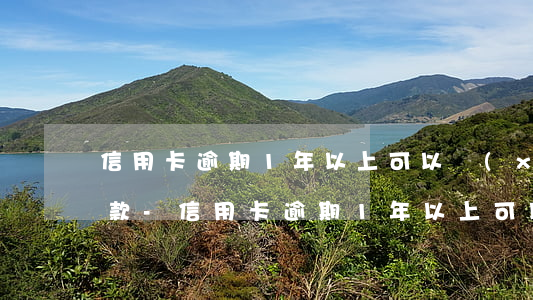 信用卡逾期1年以上可以協(xié)商還款-信用卡逾期1年以上可以協(xié)商還款嗎