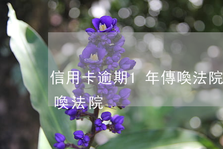 信用卡逾期1年傳喚法院(信用卡逾期1年傳喚法院)