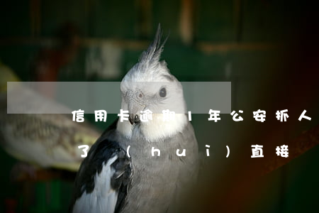 信用卡逾期1年公安抓人(信用卡逾期一年多了會(huì)直接報(bào)警抓人嗎?)