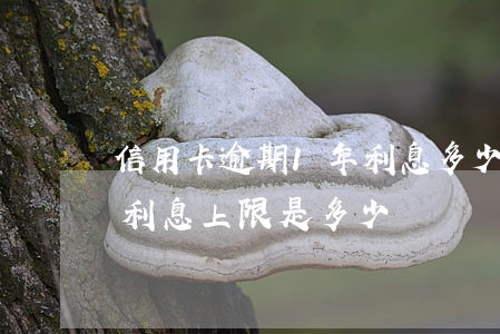 信用卡逾期1年利息多少(信用卡逾期一年的利息上限是多少)