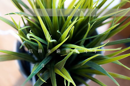 信用卡逾期1年半9萬-欠信用卡一千逾期半年