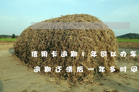 信用卡逾期1年可以办车贷吗 以前有信用卡逾期,还清后一年多时间了,能办理车贷吗?