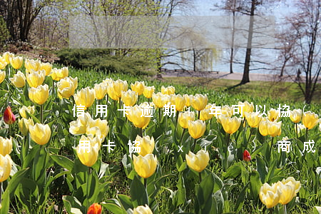 信用卡逾期1年可以協(xié)商嗎(跟信用卡協(xié)商成功后又逾期了)