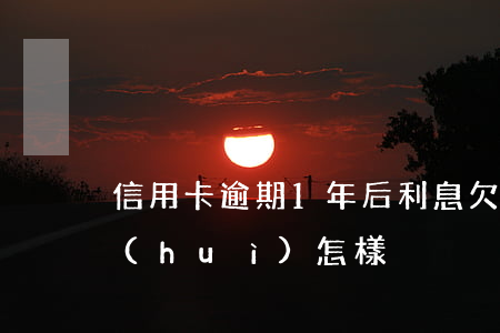 信用卡逾期1年后利息(欠信用卡逾期一年會(huì)怎樣)