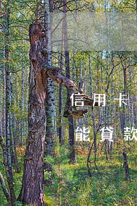 信用卡逾期1年后還了還(信用卡逾期1年還能貸款嗎)