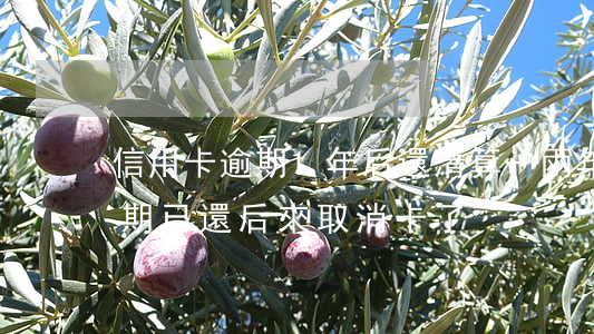 信用卡逾期1年后還清算-兩年前信用卡逾期已還后來取消卡了