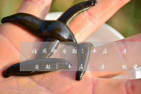 信用卡逾期1年后還清還能使用嗎-信用卡逾期1年后還清還能使用嗎知乎