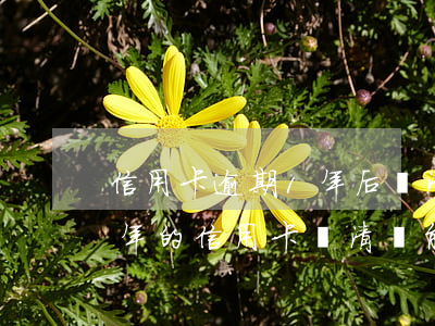 信用卡逾期1年后還清還能使用嗎-逾期一年的信用卡還清還能用嗎