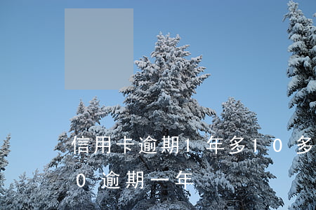 信用卡逾期1年多10多萬(信用卡10000逾期一年)