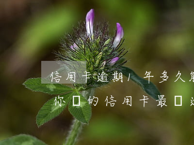 信用卡逾期1年多久能養(yǎng)好-你們的信用卡最長逾期過多久