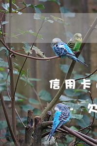 信用卡逾期1年多了會(huì)被起訴嗎嗎-欠信用卡逾期一年多會(huì)坐牢嗎