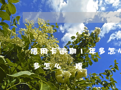 信用卡逾期1年多怎么處理（信用卡逾期1年多怎么處理）