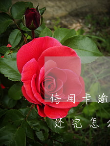 信用卡逾期1年多还清后(逾期几年的信用卡还完怎么处理)