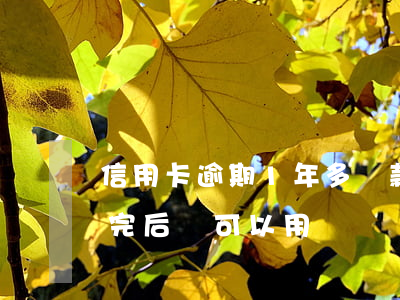 信用卡逾期1年多還款嗎(信用卡逾期一年還完后還可以用嗎)