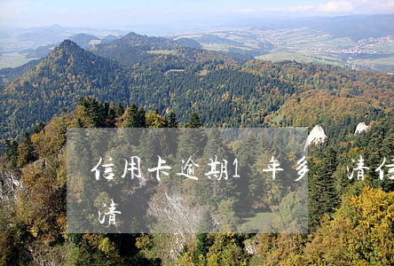 信用卡逾期1年多還清 信用卡逾期1年多還清