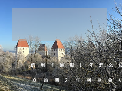 信用卡逾期1年怎么算利息(信用卡10000逾期2年利息會(huì)有多錢)