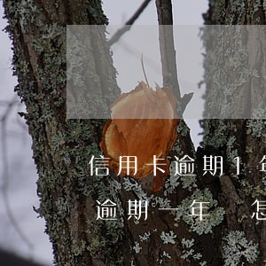 信用卡逾期1年怎么處理(信用卡2000多逾期一年會怎么處理)