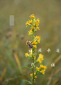 信用卡逾期1年怎么辦銀行說(shuō)找-信用卡逾期1年怎么辦銀行說(shuō)找我協(xié)商