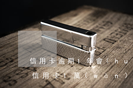 信用卡逾期1年會(huì)被上門起訴嗎(信用卡1萬(wàn)逾期多久會(huì)被起訴)